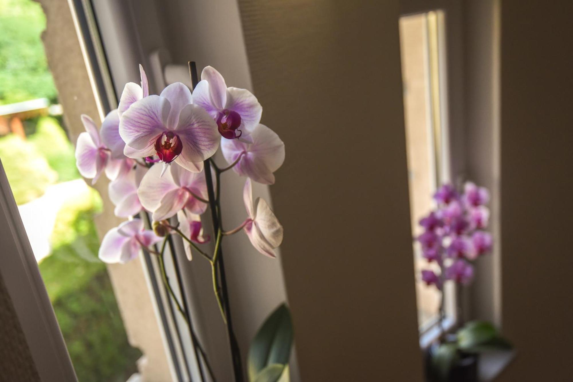 Amore Apartmanhaz Siófok Zewnętrze zdjęcie